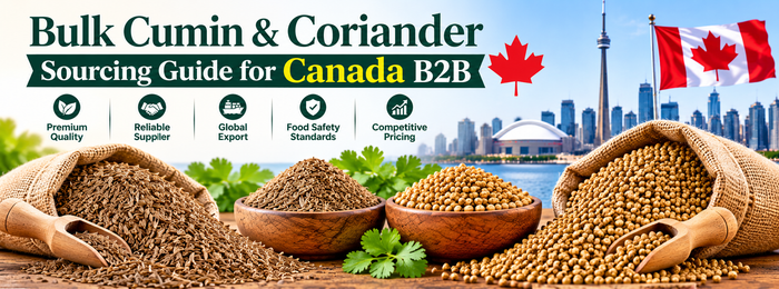 Bulk Cumin & Coriander Sourcing Guide for Canada B2B