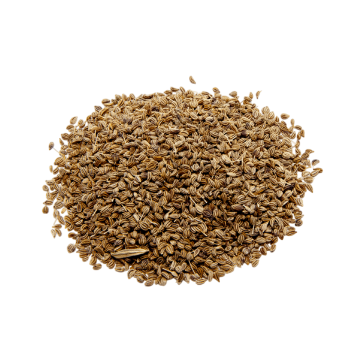 Ajwain Seeds bulk packing for B2B importers