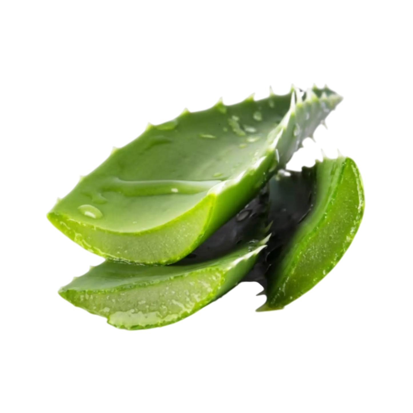 Bulk Aloe Vera Powder for Manufacturing and Cosmetic Use