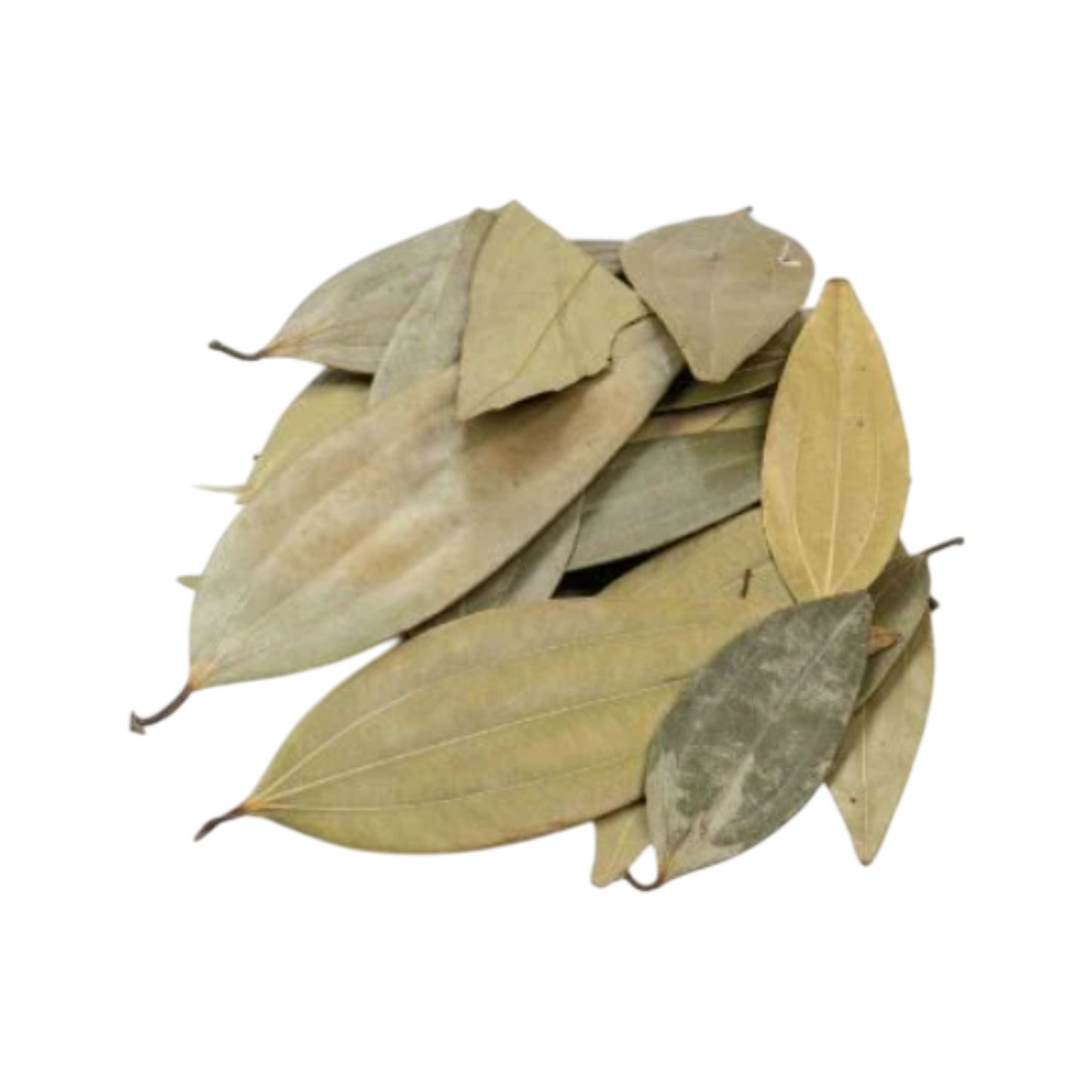 Premium Bay Leaves Exported Worldwide