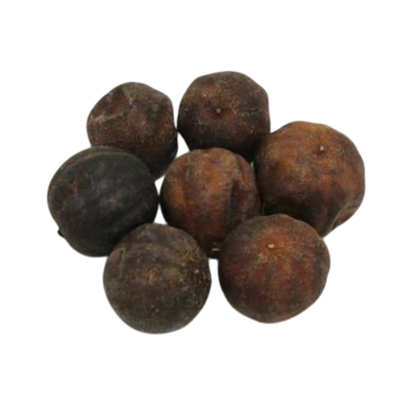 Black lemon whole fruits for export in bulk