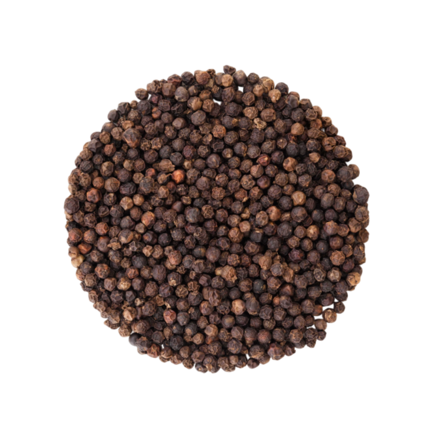 Premium Quality Black Pepper Whole from India