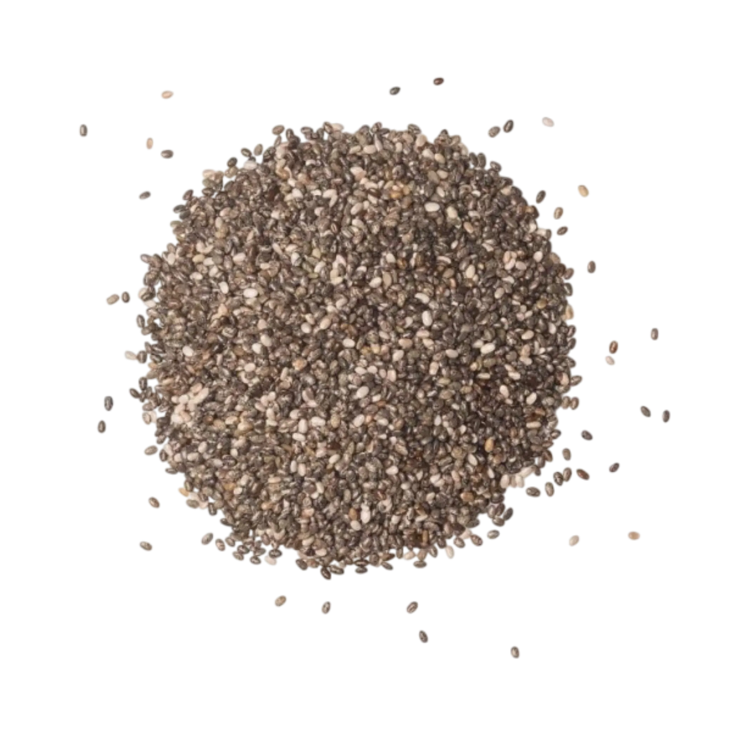 Spice Nest chia seeds bulk pack for wholesalers and exporters