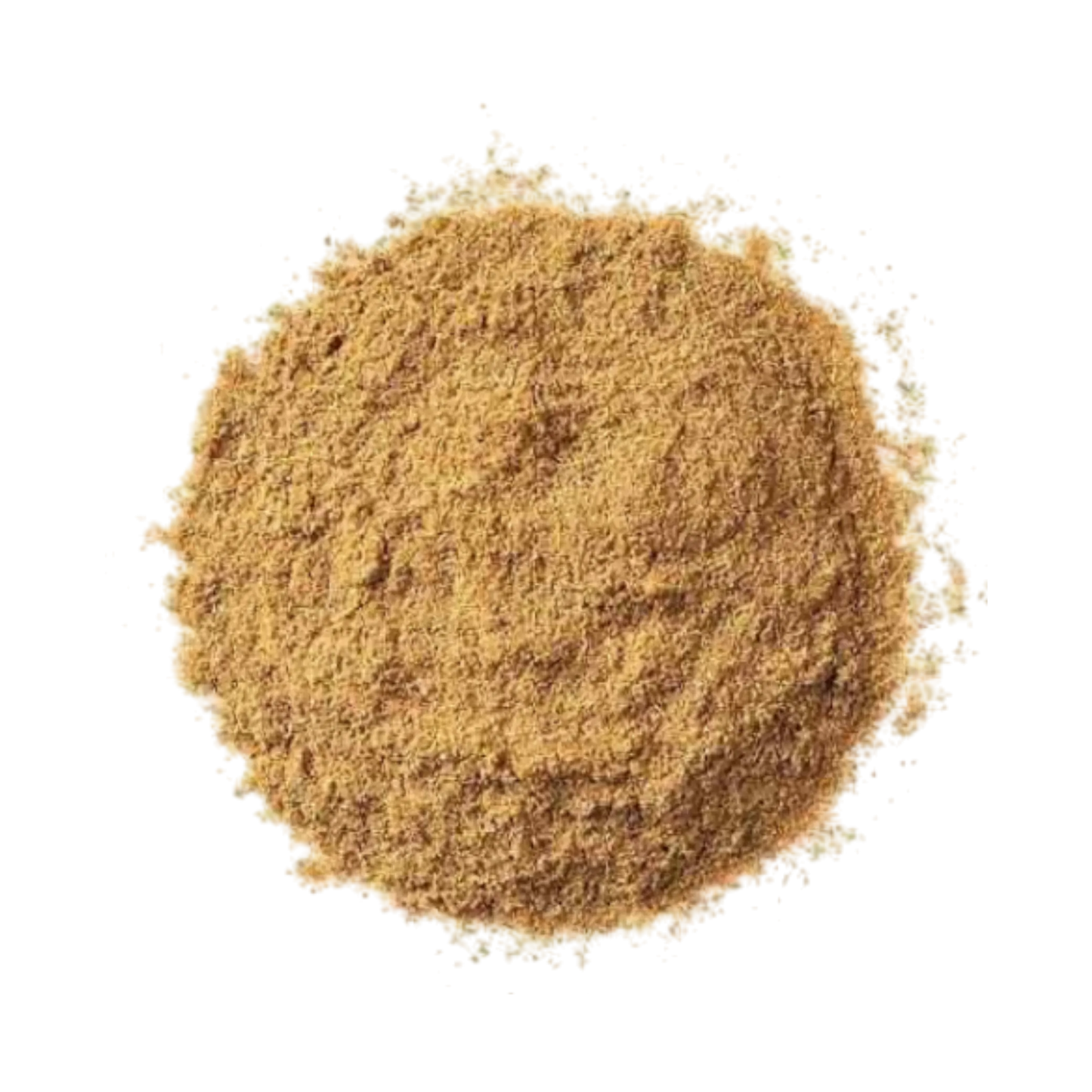 Cumin Powder Manufacturer Exporter India Spice Nest bulk supplier food grade