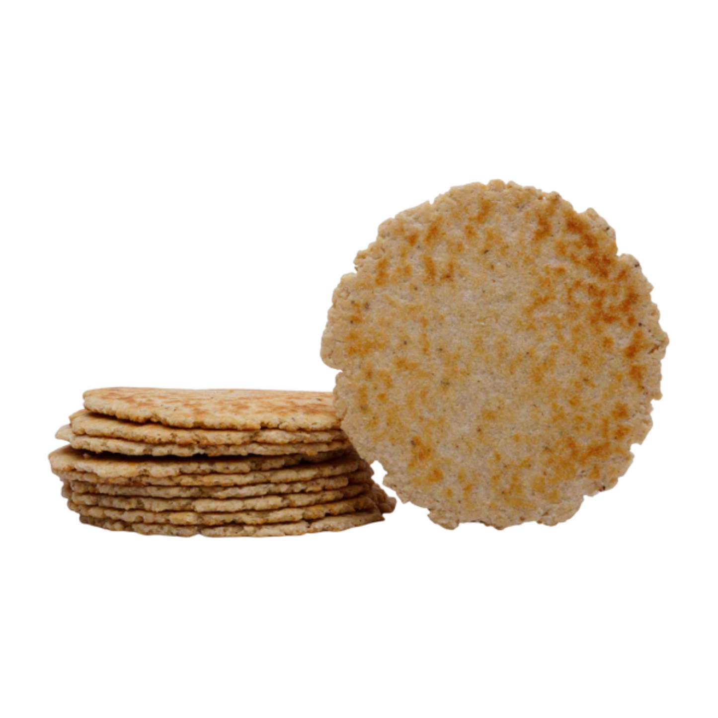 Dry Bhakhri Farali Masala