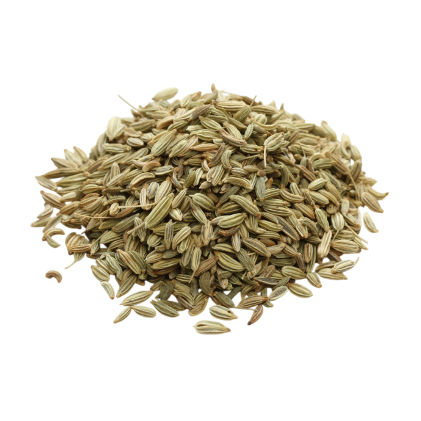 Premium quality fennel seeds by Spice Nest