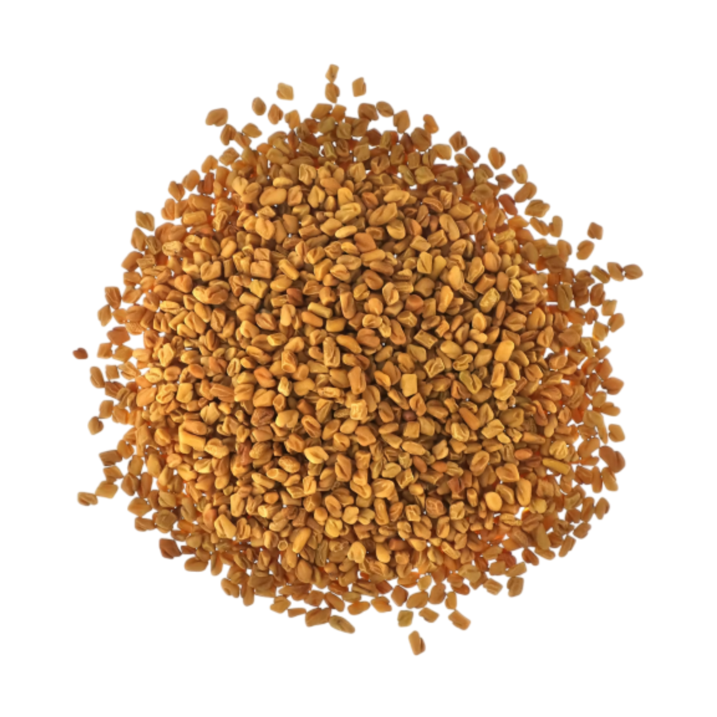 Premium Fenugreek Seeds Pack - Bulk Export Quality from Spice Nest