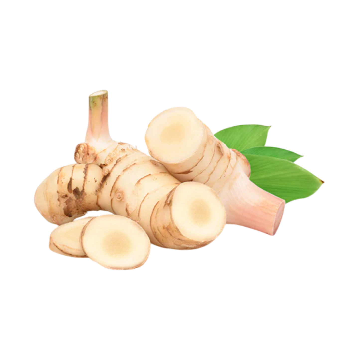 Galangal Root