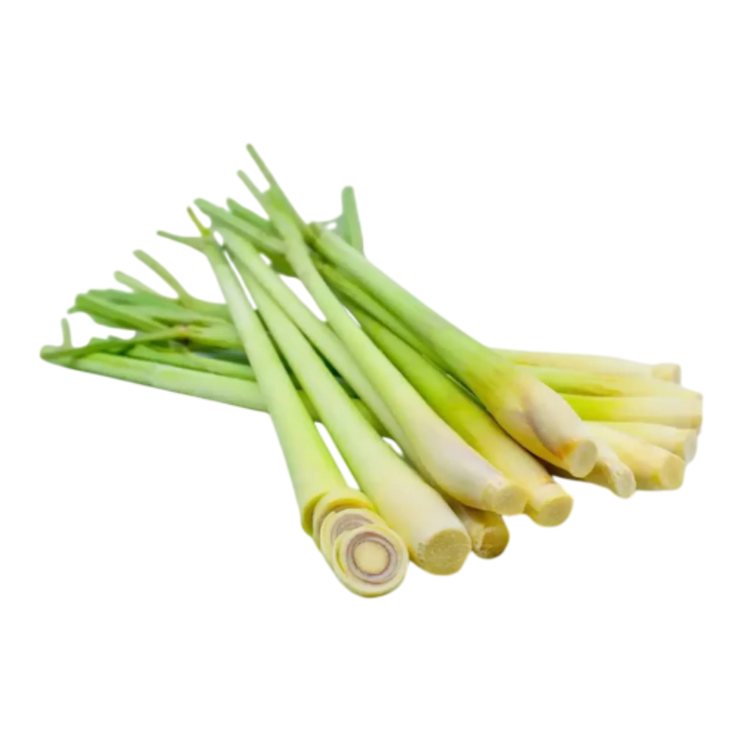 High-quality dried Lemon Grass supplier India