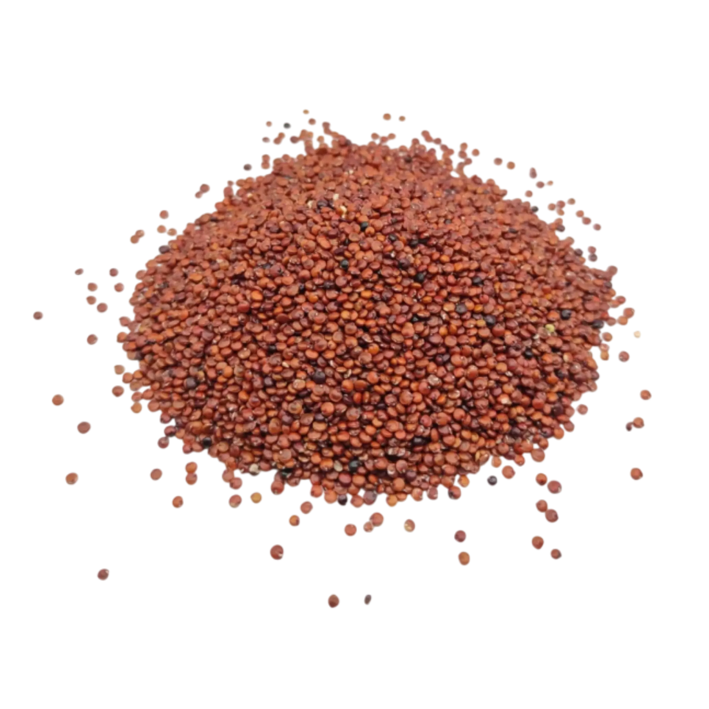 Bulk red quinoa seeds for wholesale and private label supply