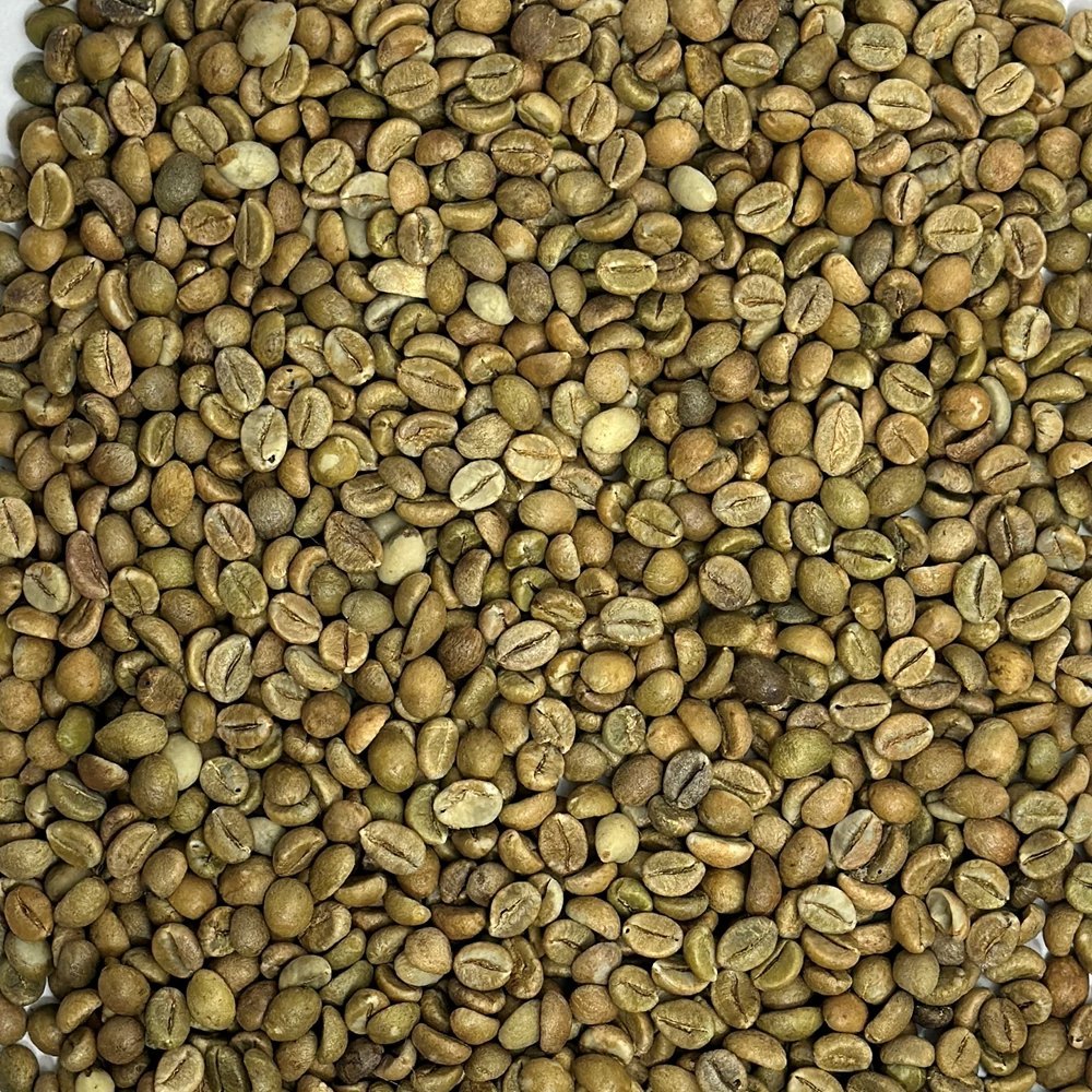 Robusta Cherry Coffe