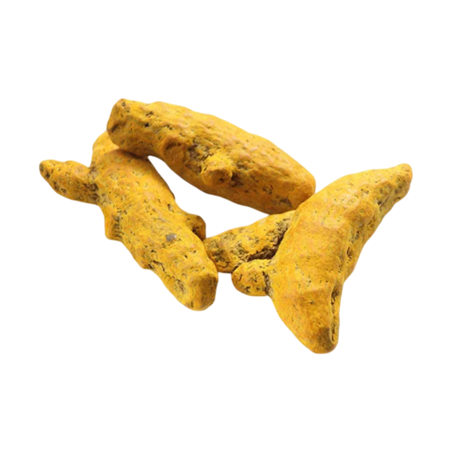 Premium turmeric finger from Spice Nest