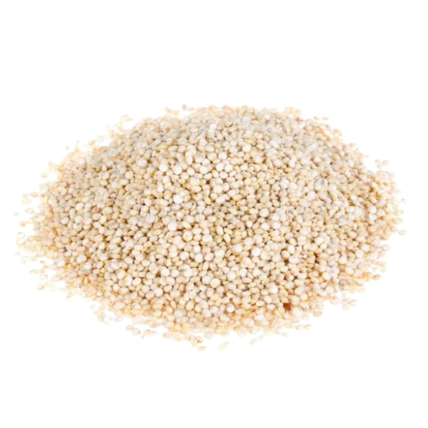 premium quality white quinoa seeds manufacturer India