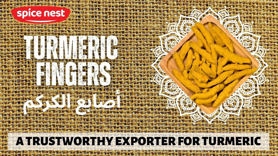 Bulk Turmeric Buying for Wholesale Buyers and Suppliers