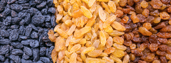 Raisins Exporters from India – золотой изюм