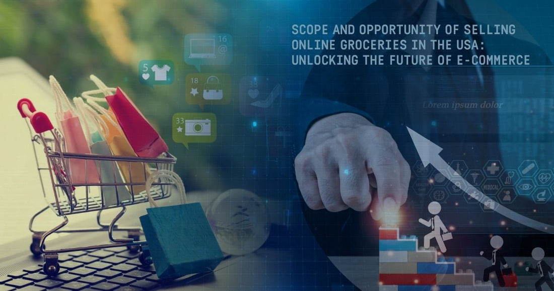 Scope and Opportunity of Selling Online Groceries in the USA: Unlocking the Future of E-commerce