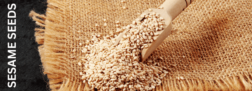 Sesame Seeds Exporters