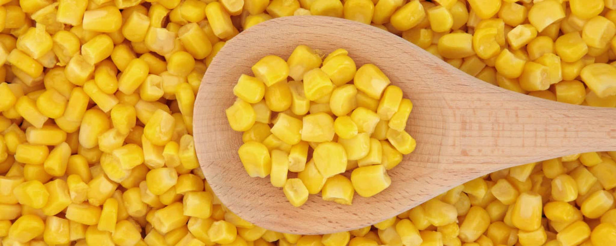 Sweet Corn Exporters from India