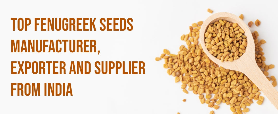Top Fenugreek Seeds Manufacturer, Exporter and Supplier from India