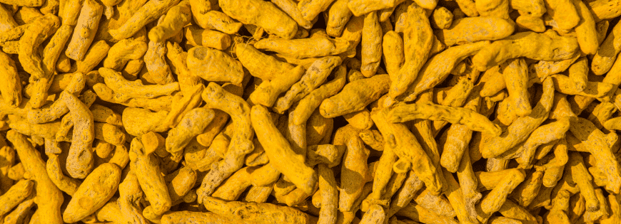 Turmeric Finger Exporters in India | Turmeric Powder Manufacturers