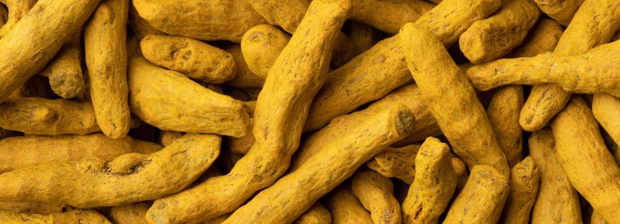 Organic Turmeric Finger Manufacturers, Suppliers & Exporters From India