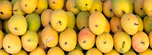 Top Alphonso Mango Pulp Manufacturer