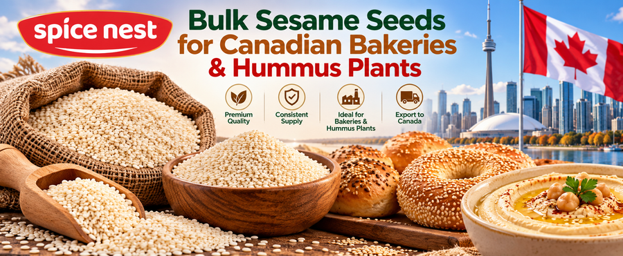 Bulk Sesame Seeds for Canadian Bakeries & Hummus Plants