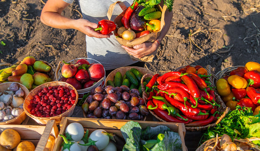 The Benefits of an Organic Food Diet: Why It’s Essential for a Healthy Lifestyle