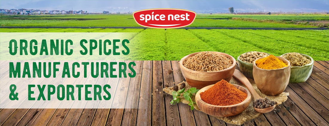 Top Organic Spices Manufactures and Exporters from India: Why Spice Nest Leads the Way