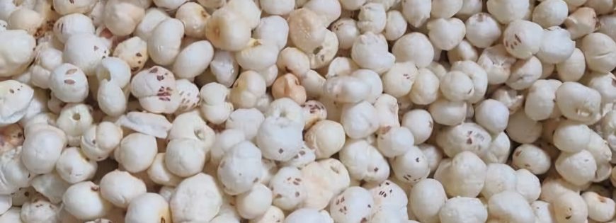 Top Phool Makhana / Fox Nut / Lotus Seed Suppliers in India: Top Manufacturers and Exporters Dominating the Market