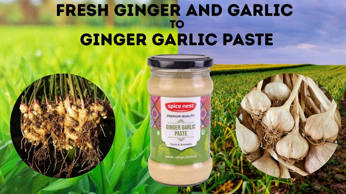Wholesale Ginger Garlic Paste | Spice Nest
