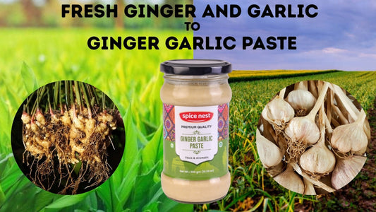 Wholesale Ginger Garlic Paste | Spice Nest