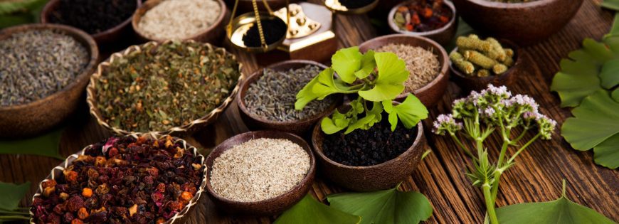 Top Herbs Exporters in India - 2025