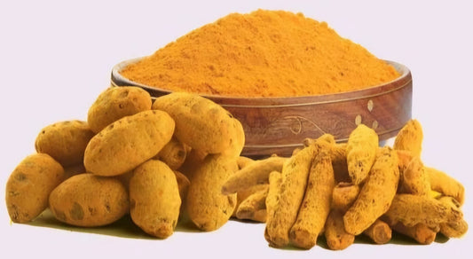 The Golden Spice of India : Top Organic Turmeric Powder Manufacturers in India