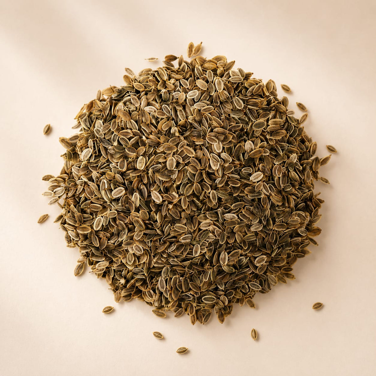 Dill Seeds