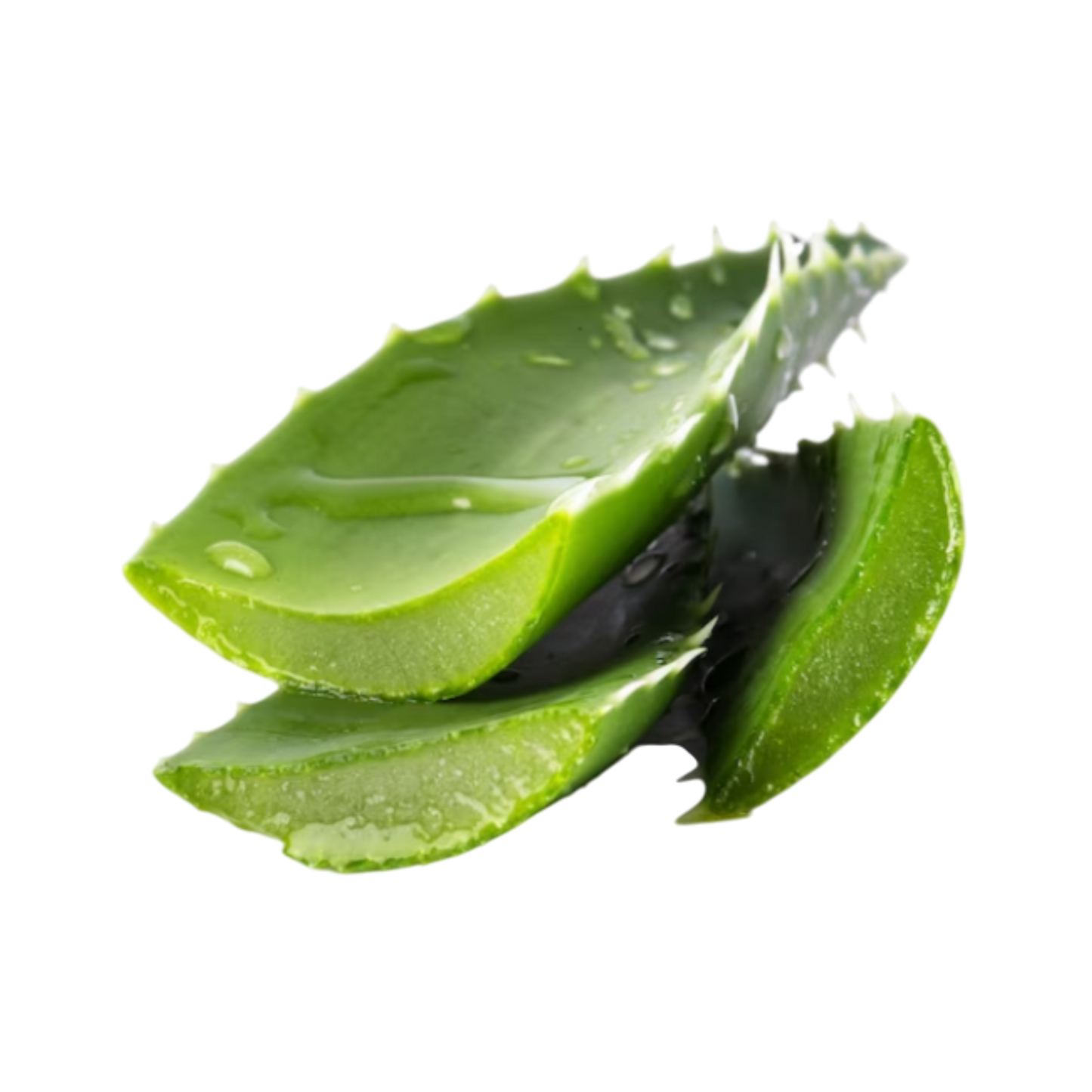 Aloevera