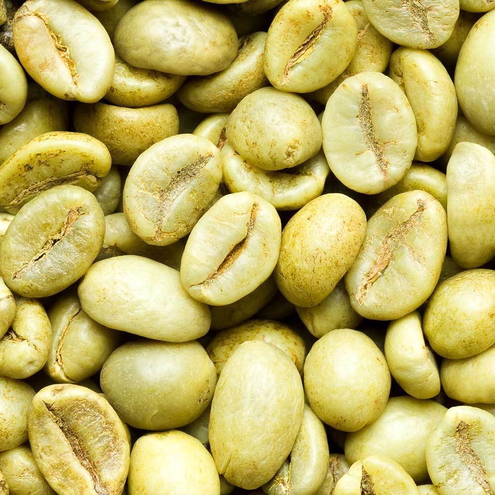 Arabica Plantation Coffee
