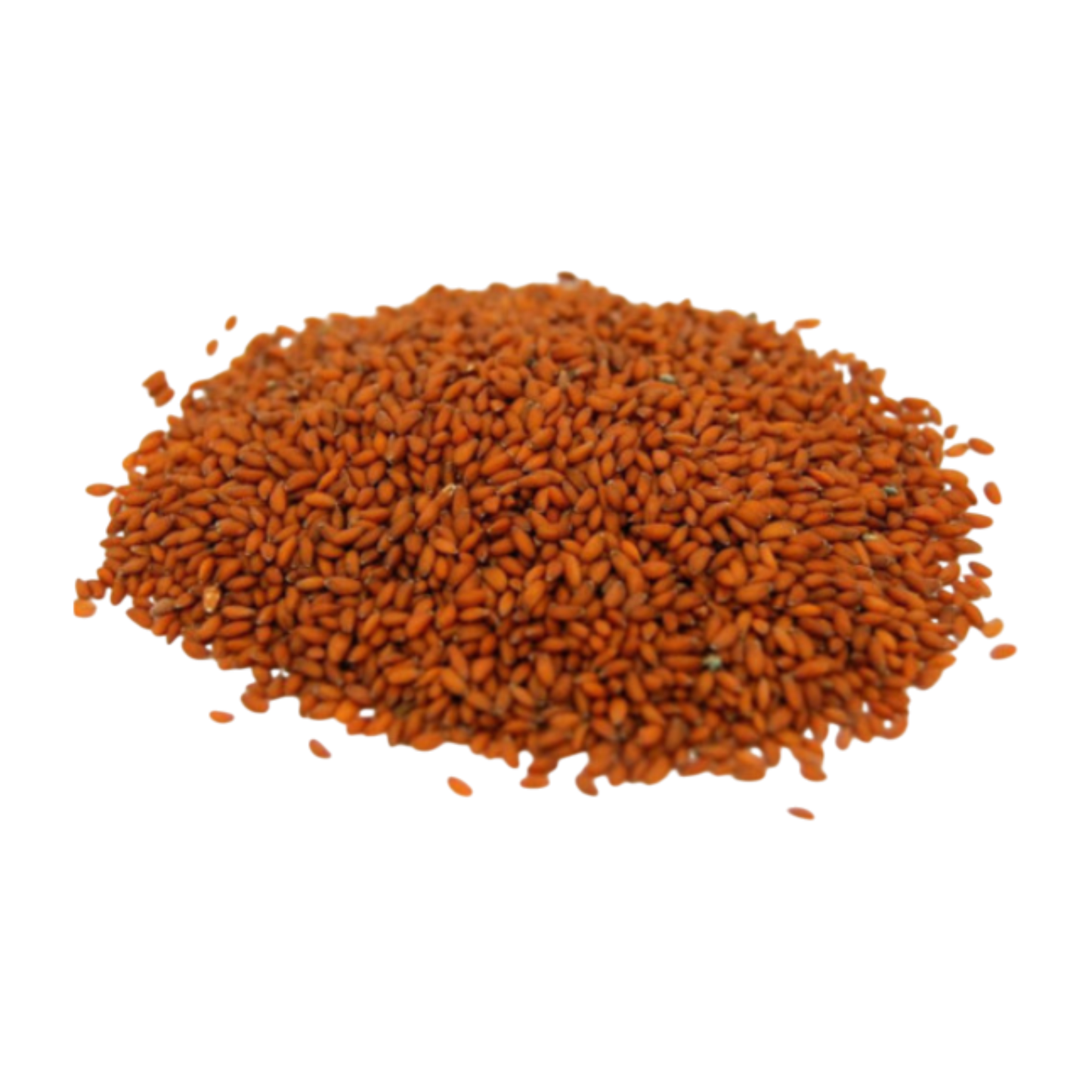 Asaliya Seeds