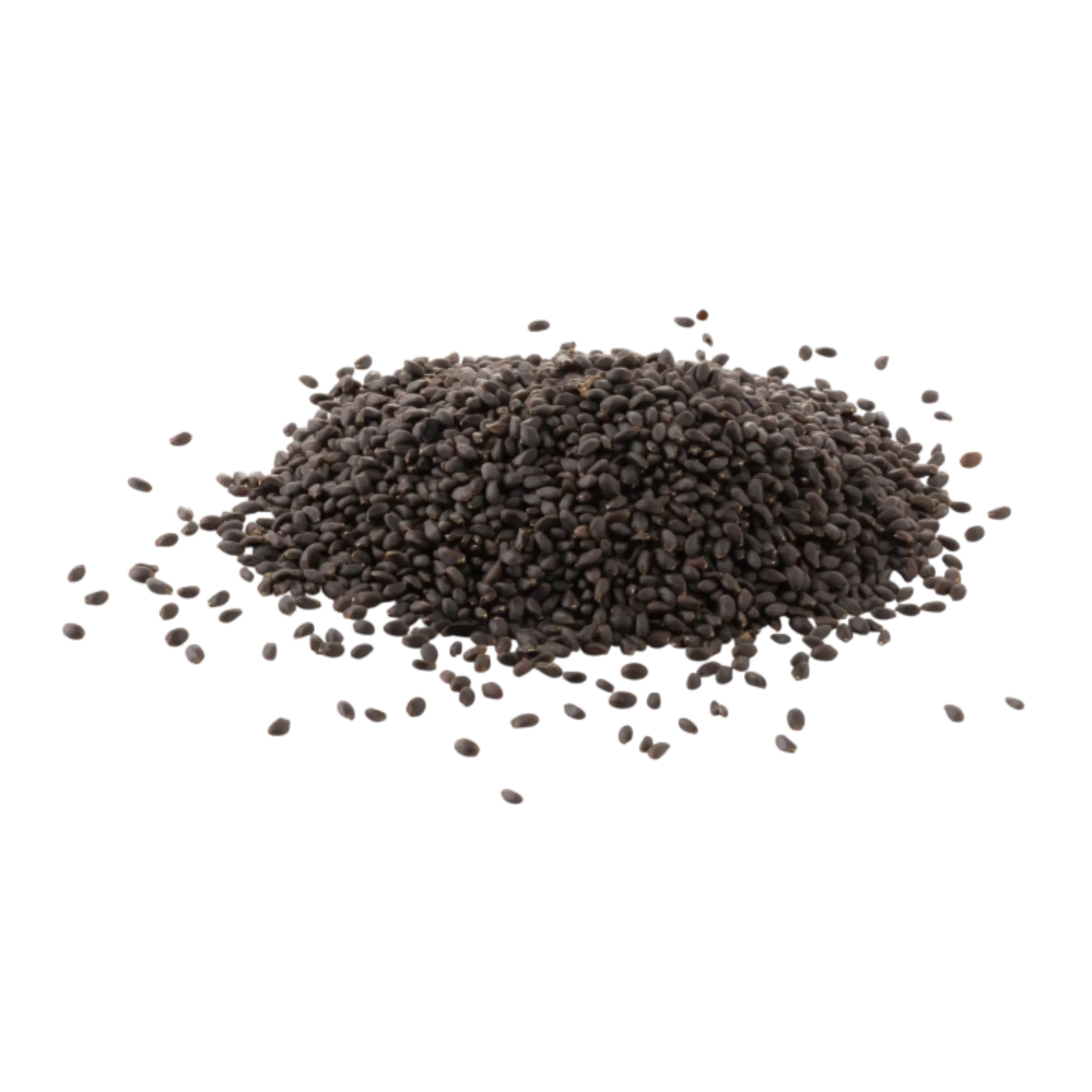 Bulk basil seeds packaging for wholesalers and exporters