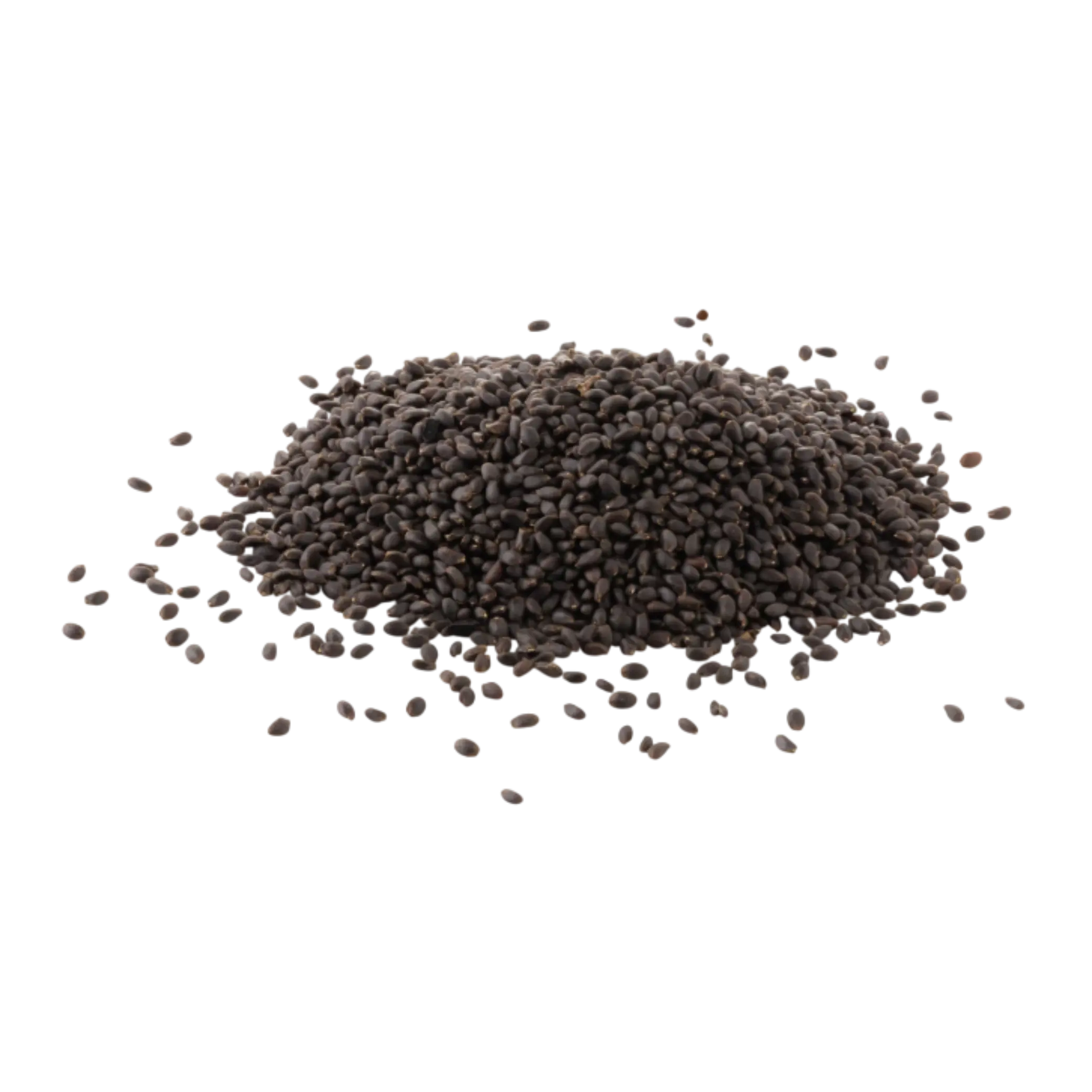 Bulk basil seeds packaging for wholesalers and exporters