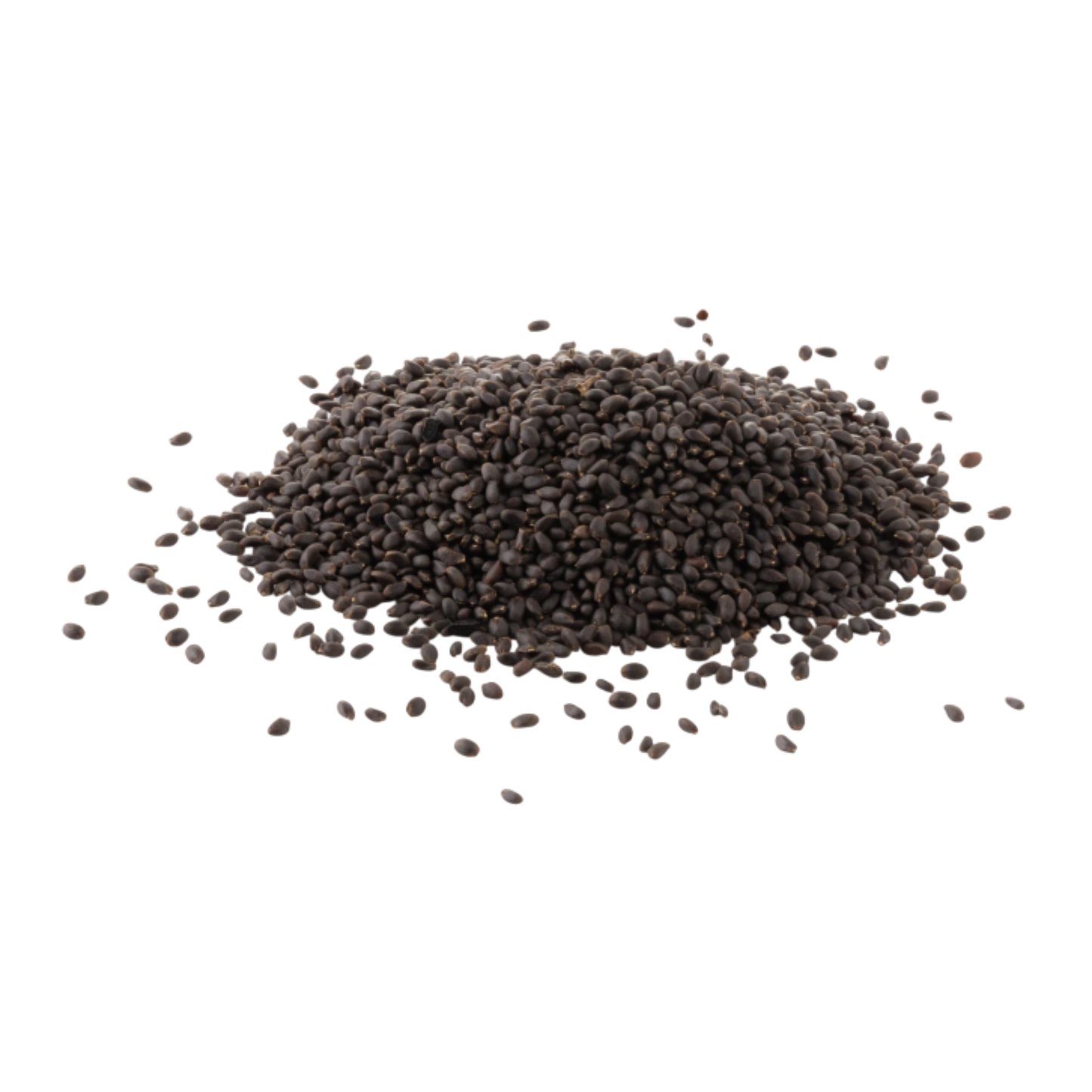 Basil Seeds