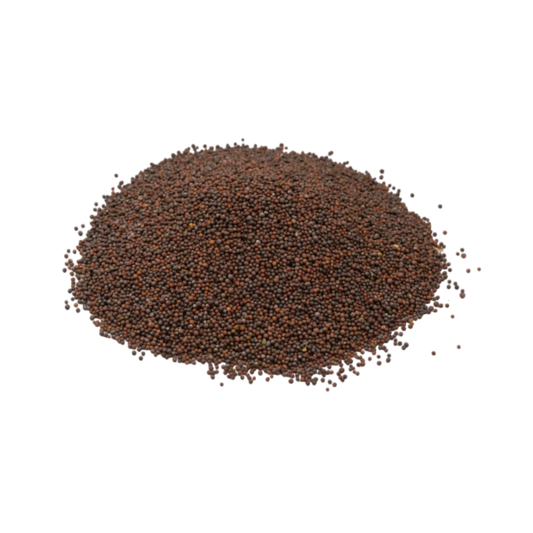 Black mustard seeds wholesale bulk lot
