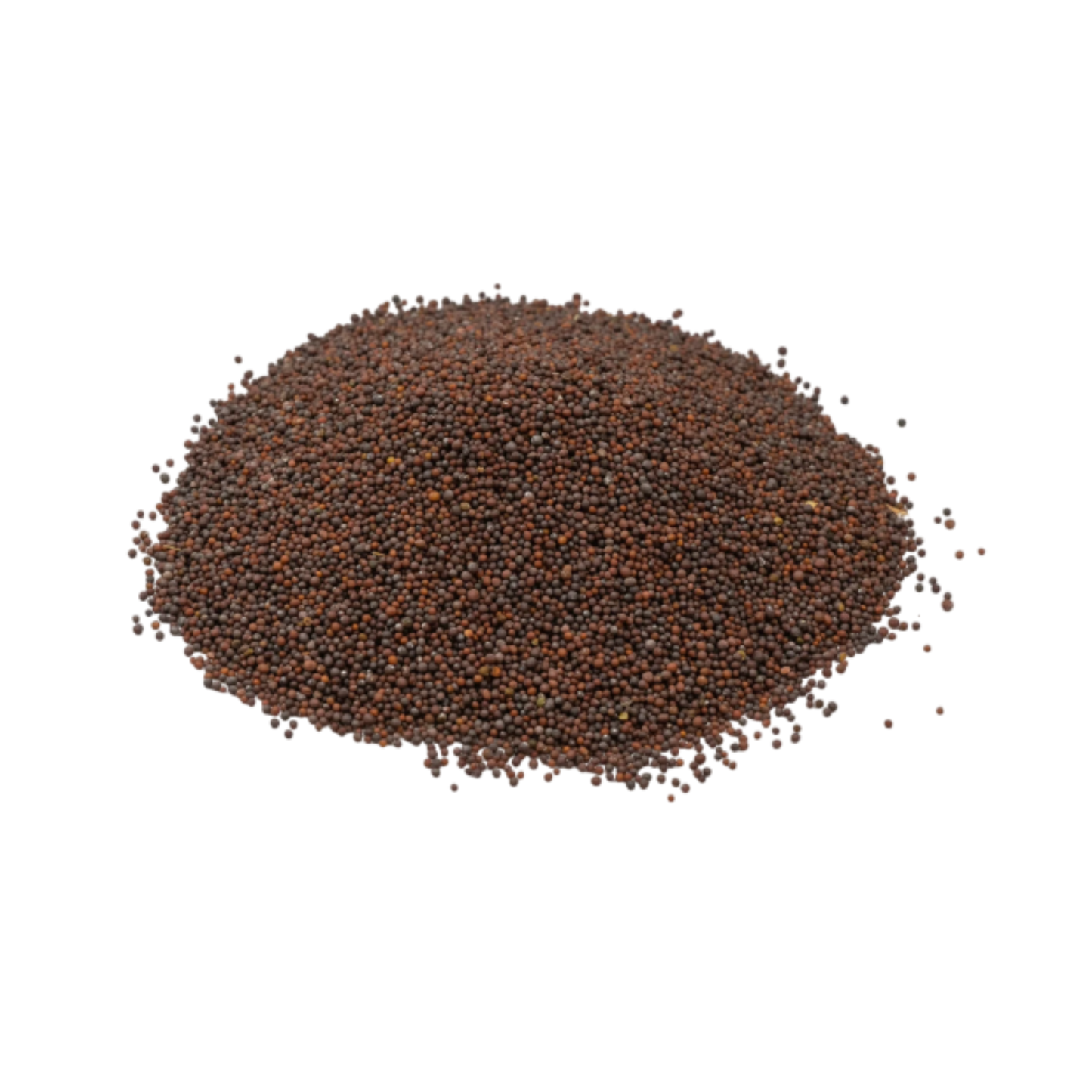 Black Mustard Seeds