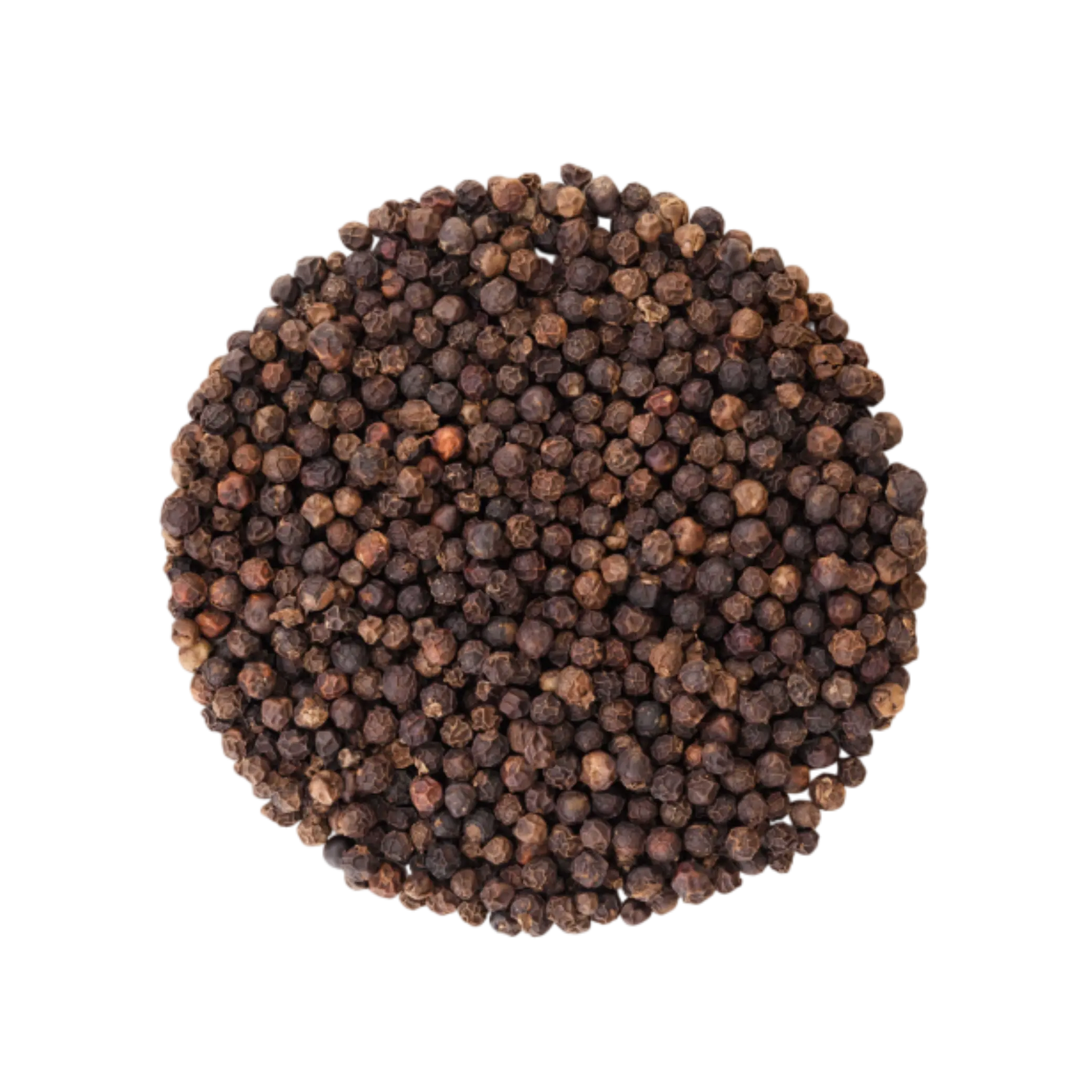 Premium Quality Black Pepper Whole from India