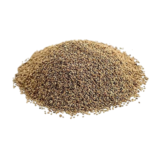 Celery Seeds Manufacturer Exporter India Spice Nest bulk supplier premium quality