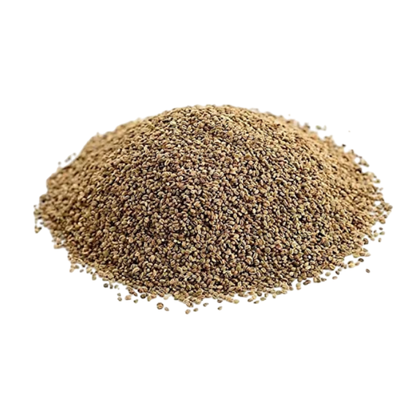 Celery Seeds