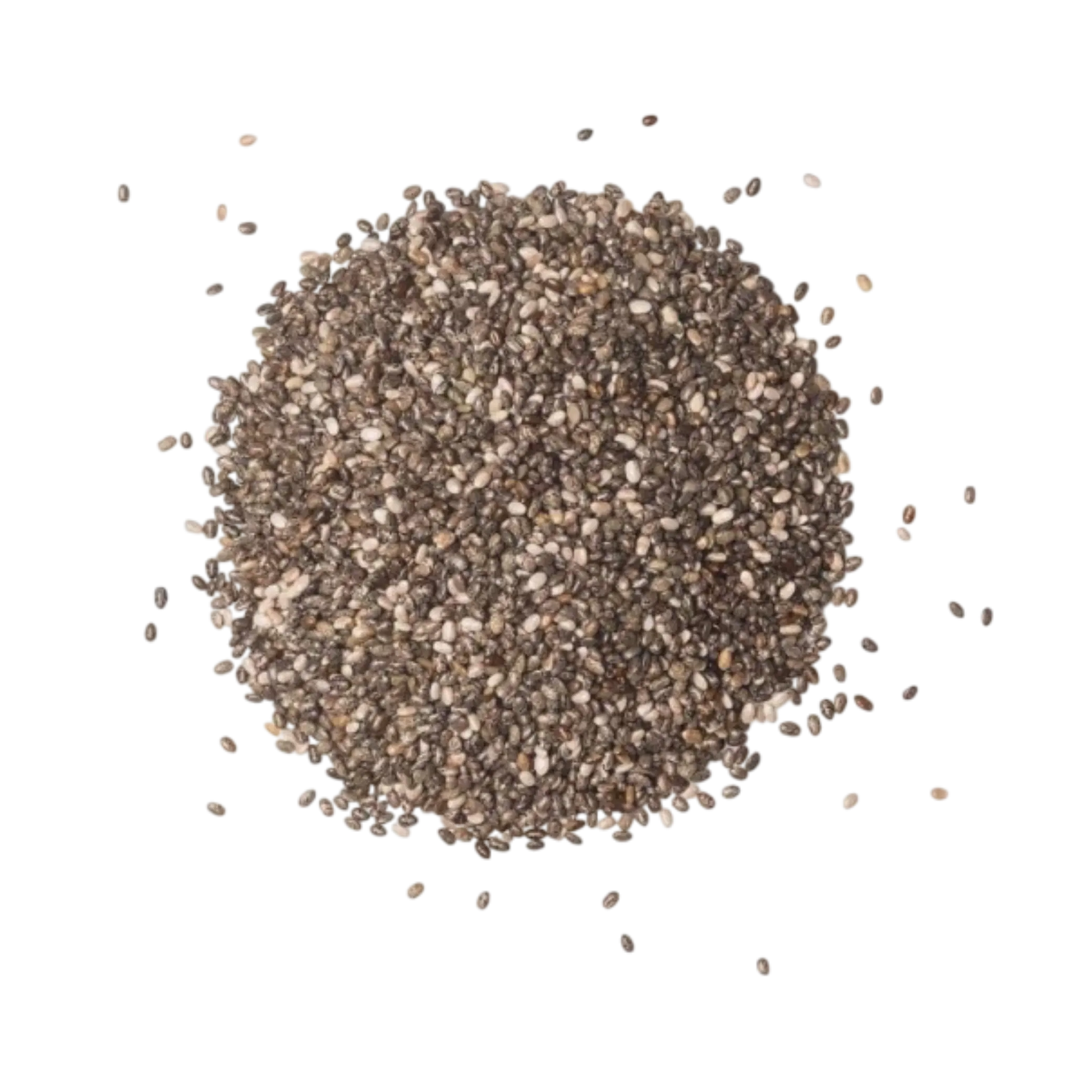 Spice Nest chia seeds bulk pack for wholesalers and exporters