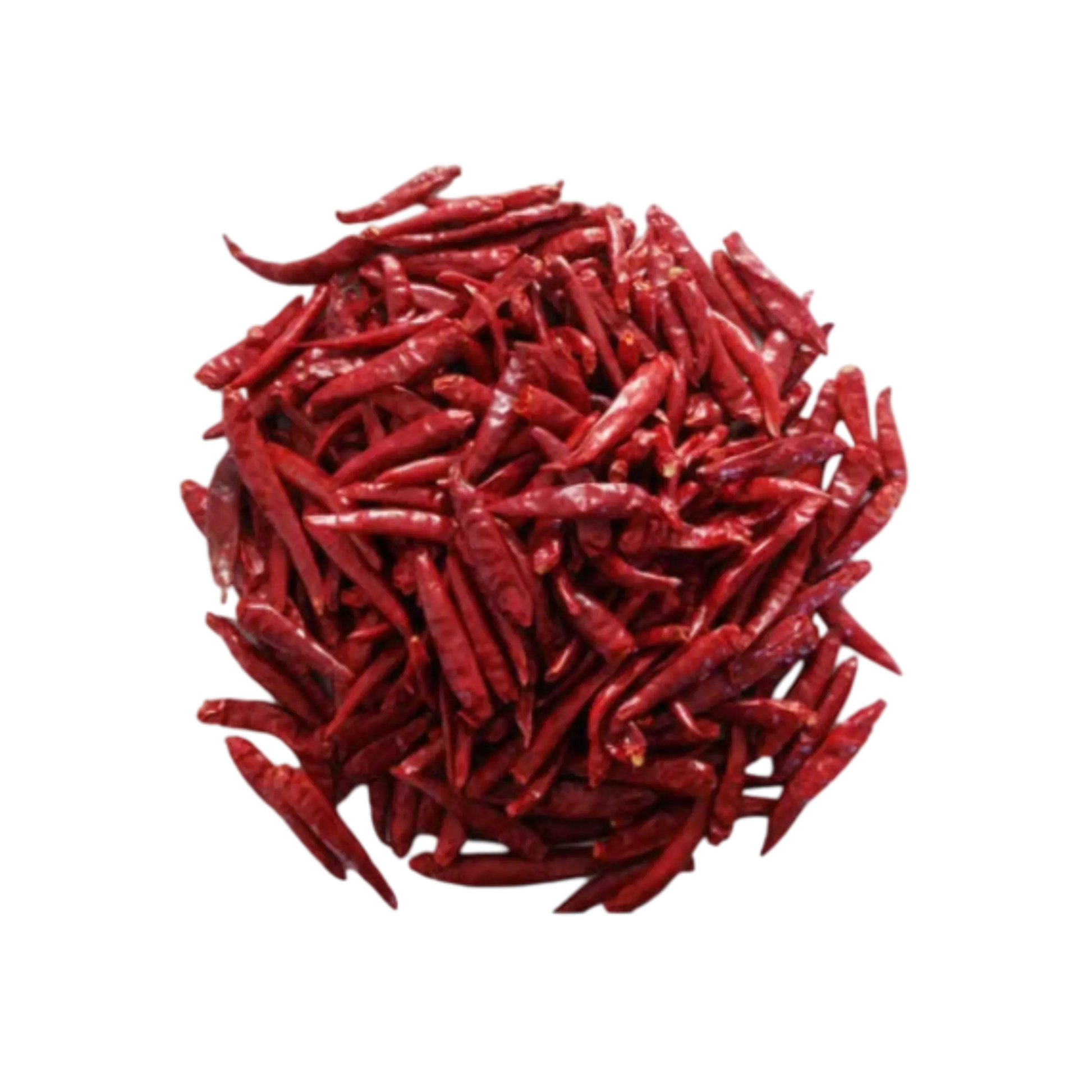 Bulk Chilli Whole for Wholesale Export
