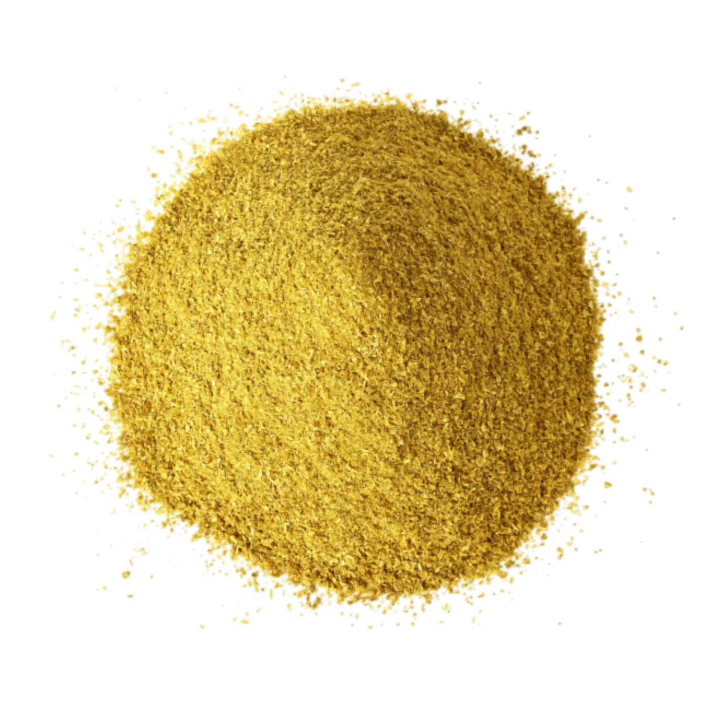 Coriander Powder Manufacturer Exporter India Spice Nest bulk supplier premium quality