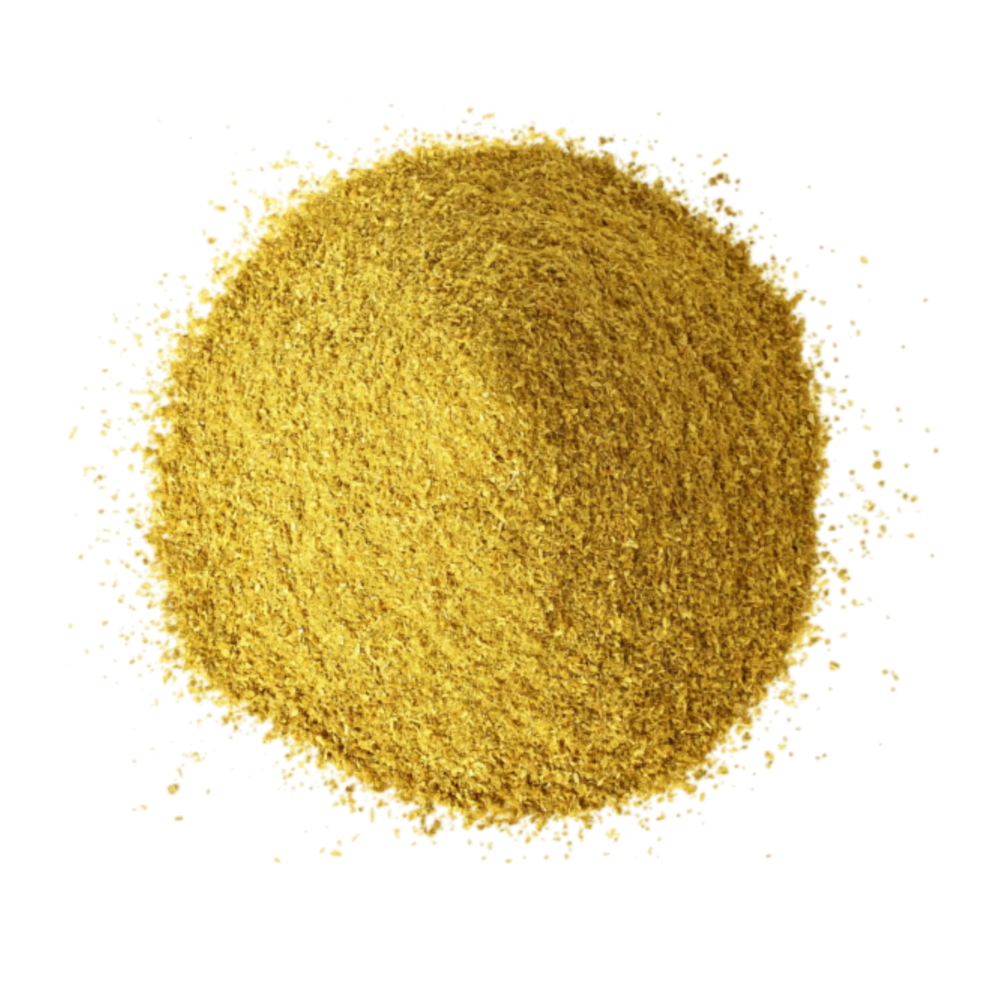 Coriander Powder Manufacturer Exporter India Spice Nest bulk supplier premium quality